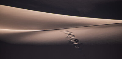 Mongolei - Sanddüne Dieter Eckert