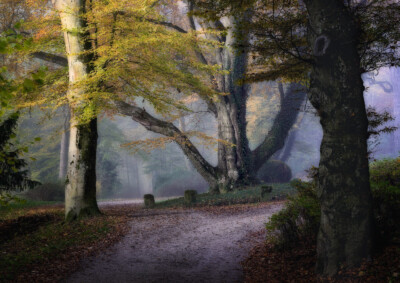 Im Park - Peter Nörr KDVF