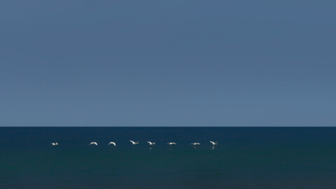 Ulrich Kiene - weg - (Annahme)