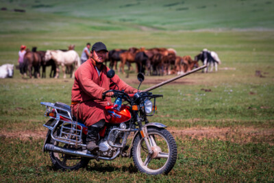 Mongolei - motorisierter Pferdehirt
- Dieter Eckert