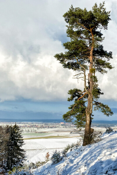 Schöne Aussicht - Hartmut Steiner