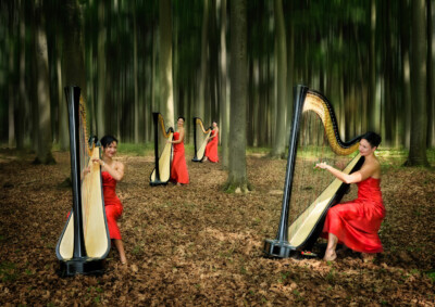 Vierlingskonzert - Peter Nörr KDVF