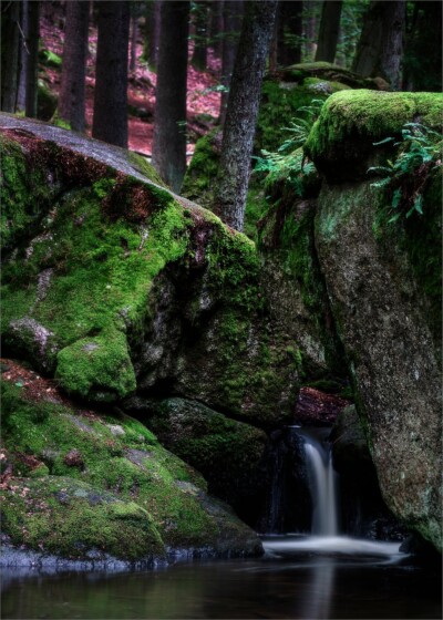 Abfluss - Hartmut Walther