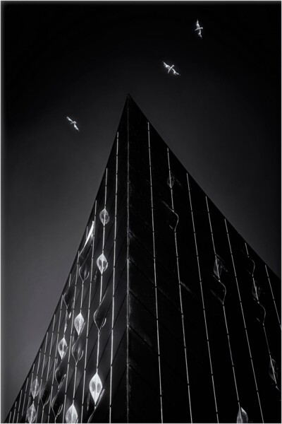 Elbphilharmonie - Hartmut Walther