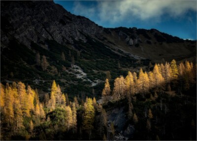 Sonnenstrahl - Hartmut Walther