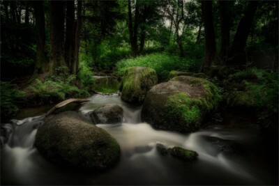 Wasserlauf - Hartmut Walther