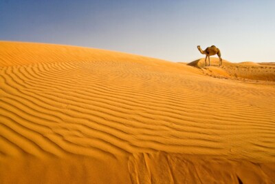 Einsam - Klaus Dünn - Nürnberger Photoklub