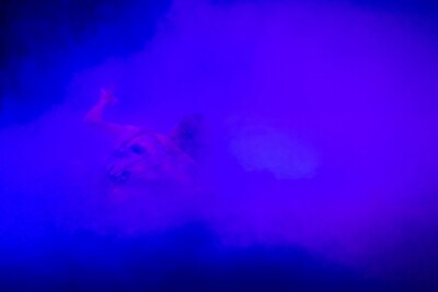 Circus - Ute Häffner - Nürnberger Photoklub