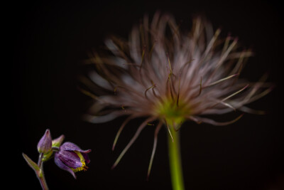 Verwirrt - Ulrich Kiene