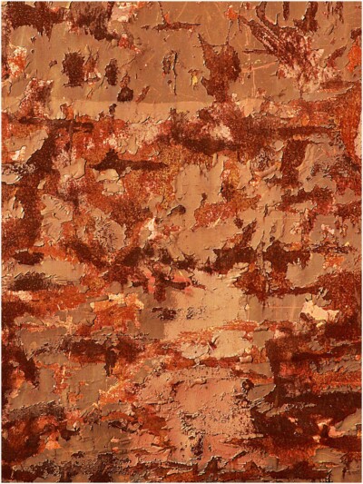 Rost - Dorothea Wenzel - Nürnberger Photoklub