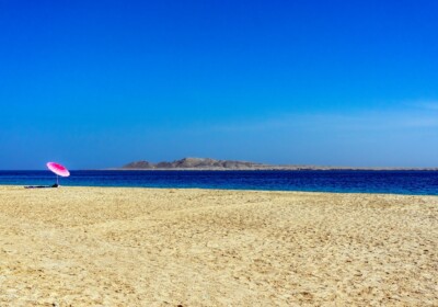 Segnali di vita - De Blasi Rosario