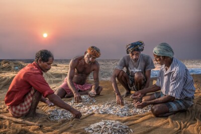 Fischer von Kerala - Dr. Alfons Wolf