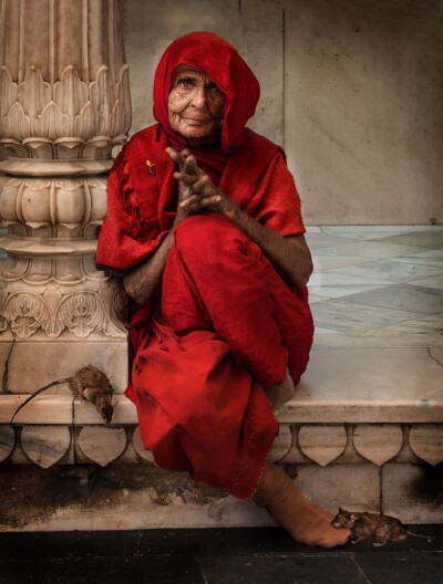 Temple of rats - Dr. Alfons Wolf