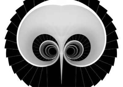 Treppe - Dr. Alfons Wolf