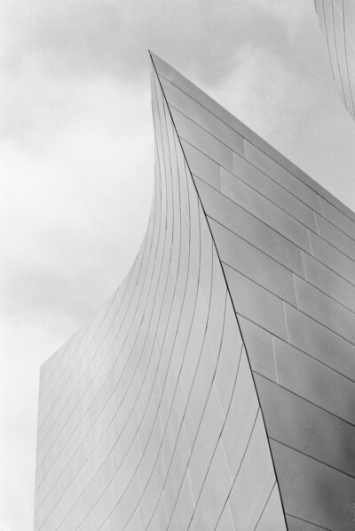 Walt Disney Concert Hall Los Angeles - Marco Pigato