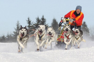 Fast & Furious, Jürgen Haunschild