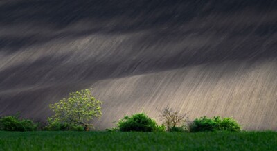 2. Platz Alex Samoilenko - Das malerische Mähren, Tschechien
