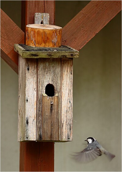 1. Platz: Wenzel Dorothea - auf_Zeit