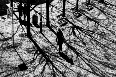 Alfons Wolf - Schattenspiel