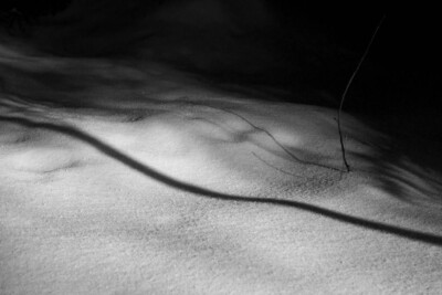 Yvonne Kohn-Wolf - Die Spur