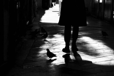 Yvonne Kohn-Wolf - Tauben