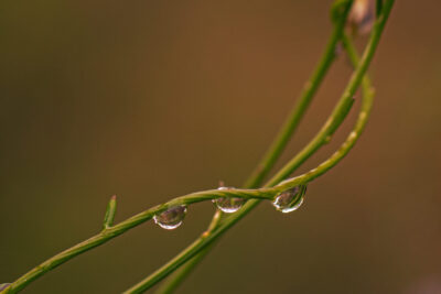 1. Platz Friedrich Stucke