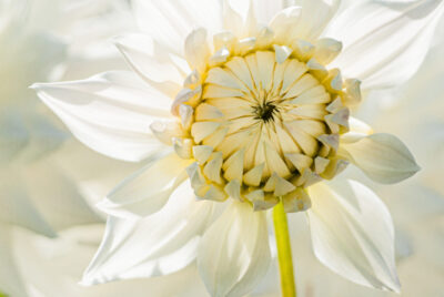 2. Platz Friedrich Stucke